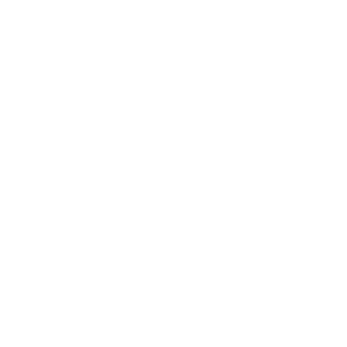 The Foster Carers Advisory Board 